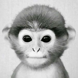 Meet your Posher, Saturn